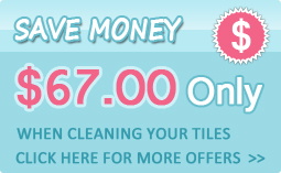 special cleaning coupons